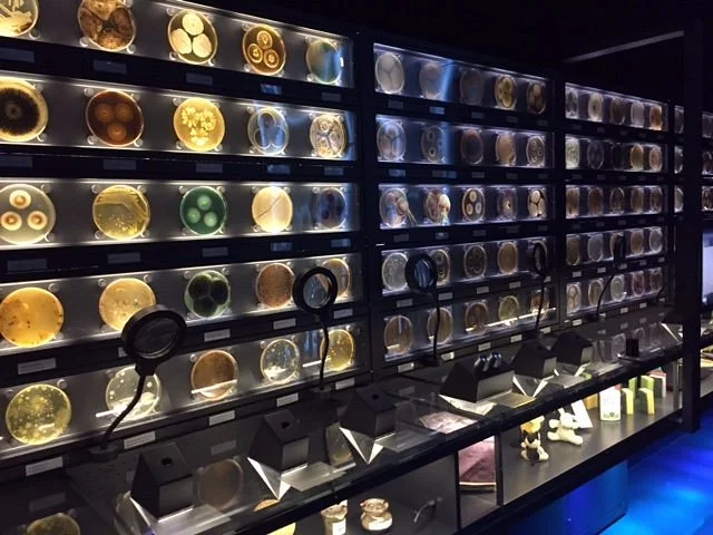 Image de Micropia